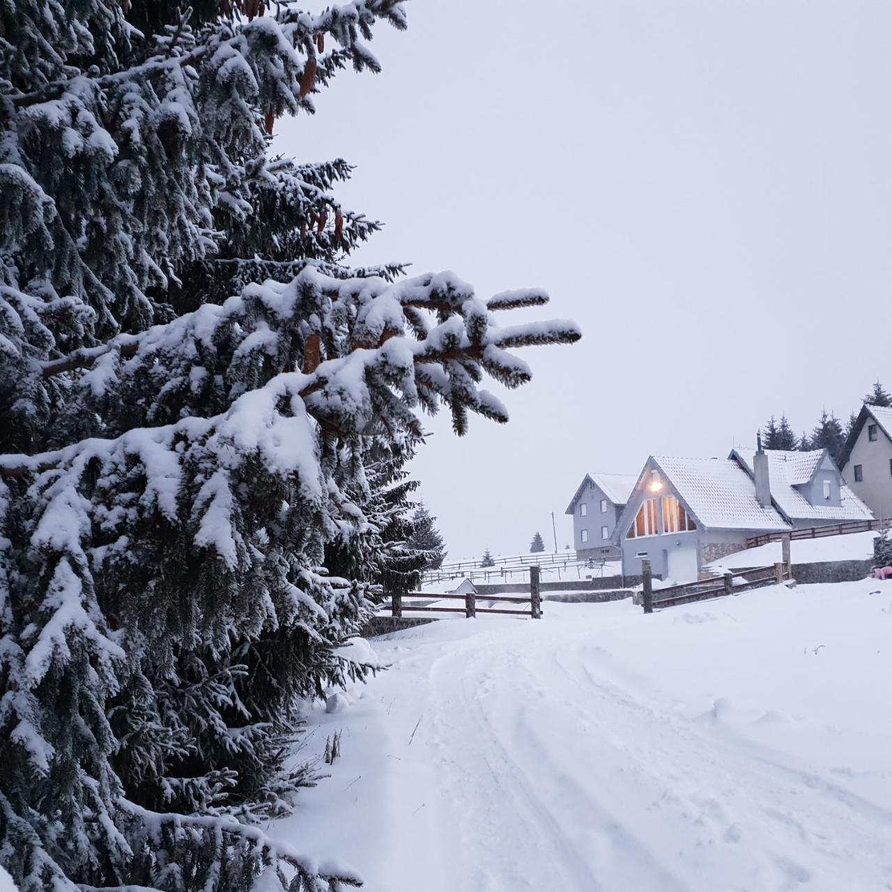 Home Belic Golija Radaljica Exteriér fotografie
