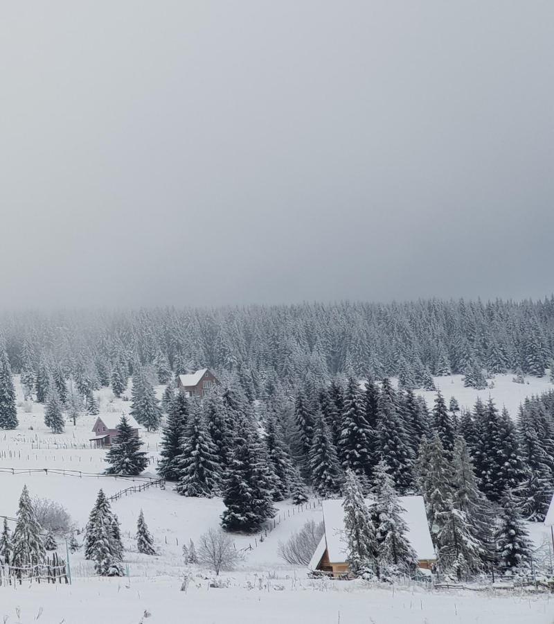 Home Belic Golija Radaljica Exteriér fotografie